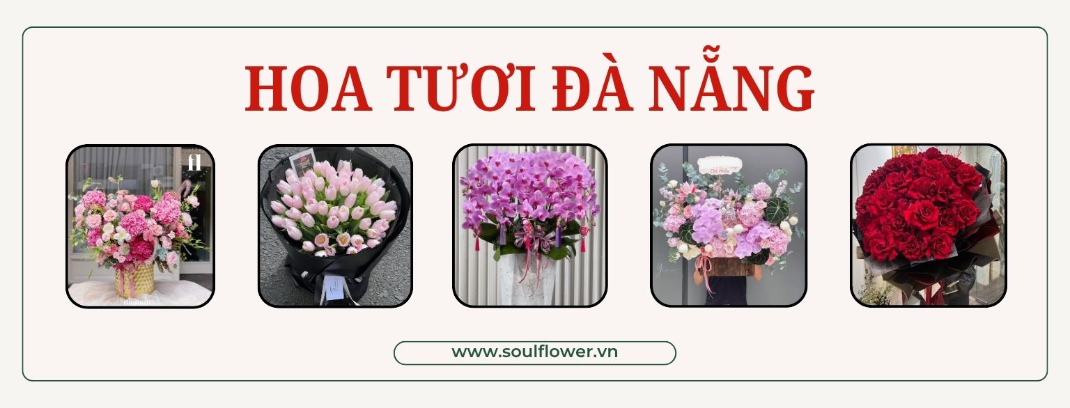Banner hoa tuoi
