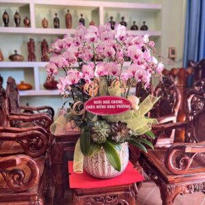 Hoa Lan Hồ ĐIệp 22