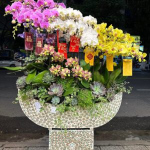 Hoa Lan Hồ ĐIệp 26