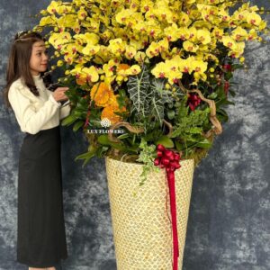 Hoa Lan Hồ ĐIệp 29