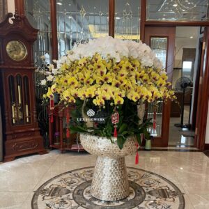 Hoa Lan Hồ ĐIệp 30