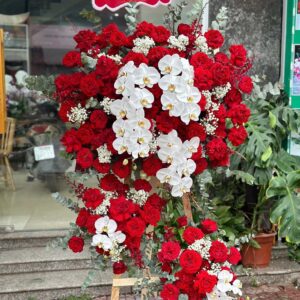 Hoa chúc mừng 25