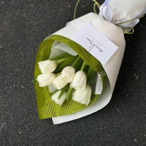 Hoa Tulip 11