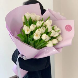 Hoa Tulip 22