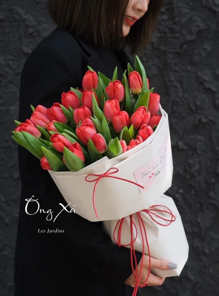 hoatulip27