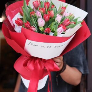 Hoa Tulip 28