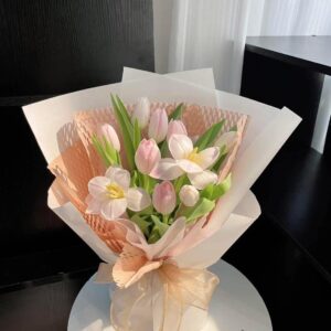 Hoa Tulip 29