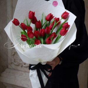 Hoa Tulip 32