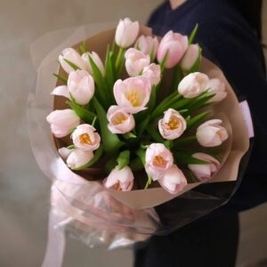 Hoa Tulip 41